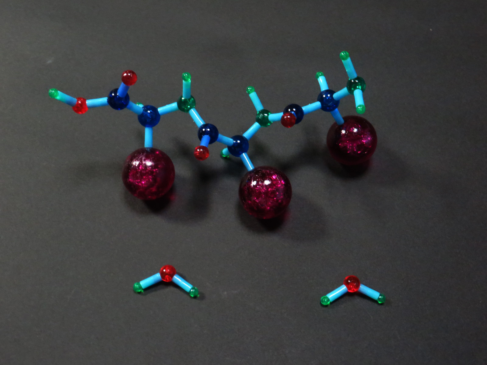 分子構造模型モル・タロウ DNAセット DNA-1() 研究、開発用