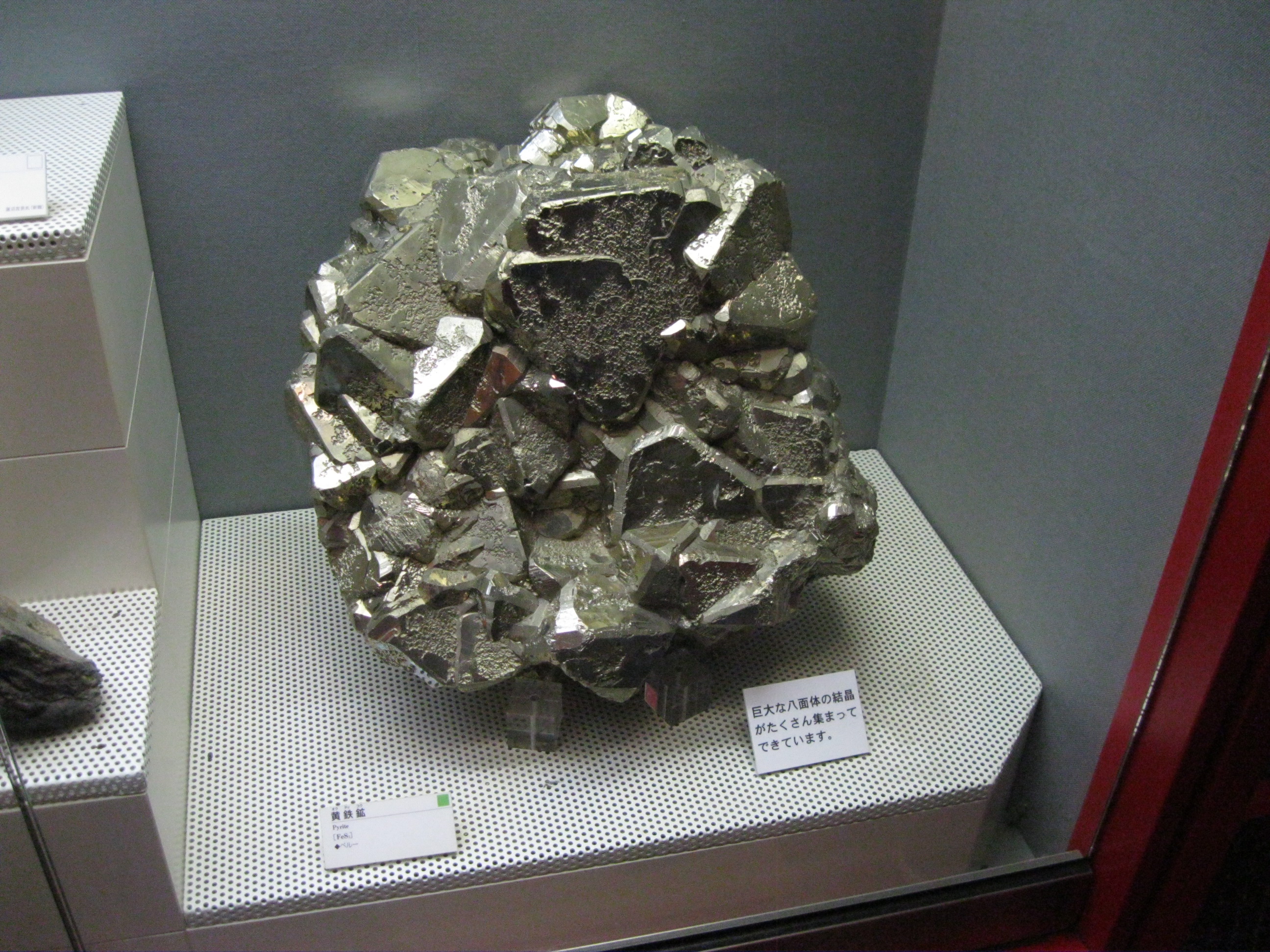20110408 Pyrite in Ibaraki Natural Museum